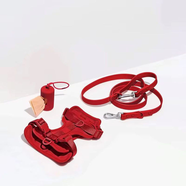 The Everyday Walk Kit