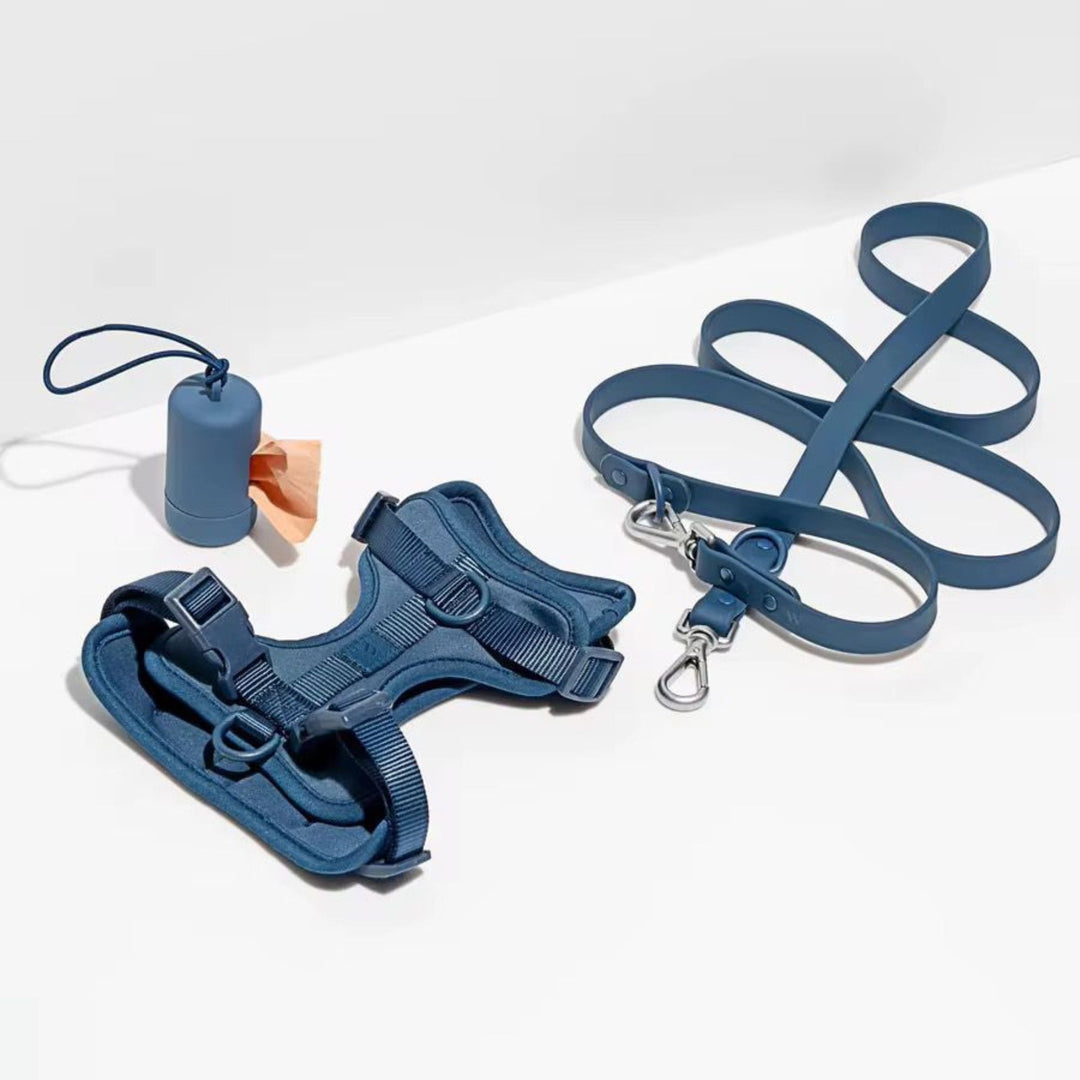 The Everyday Walk Kit