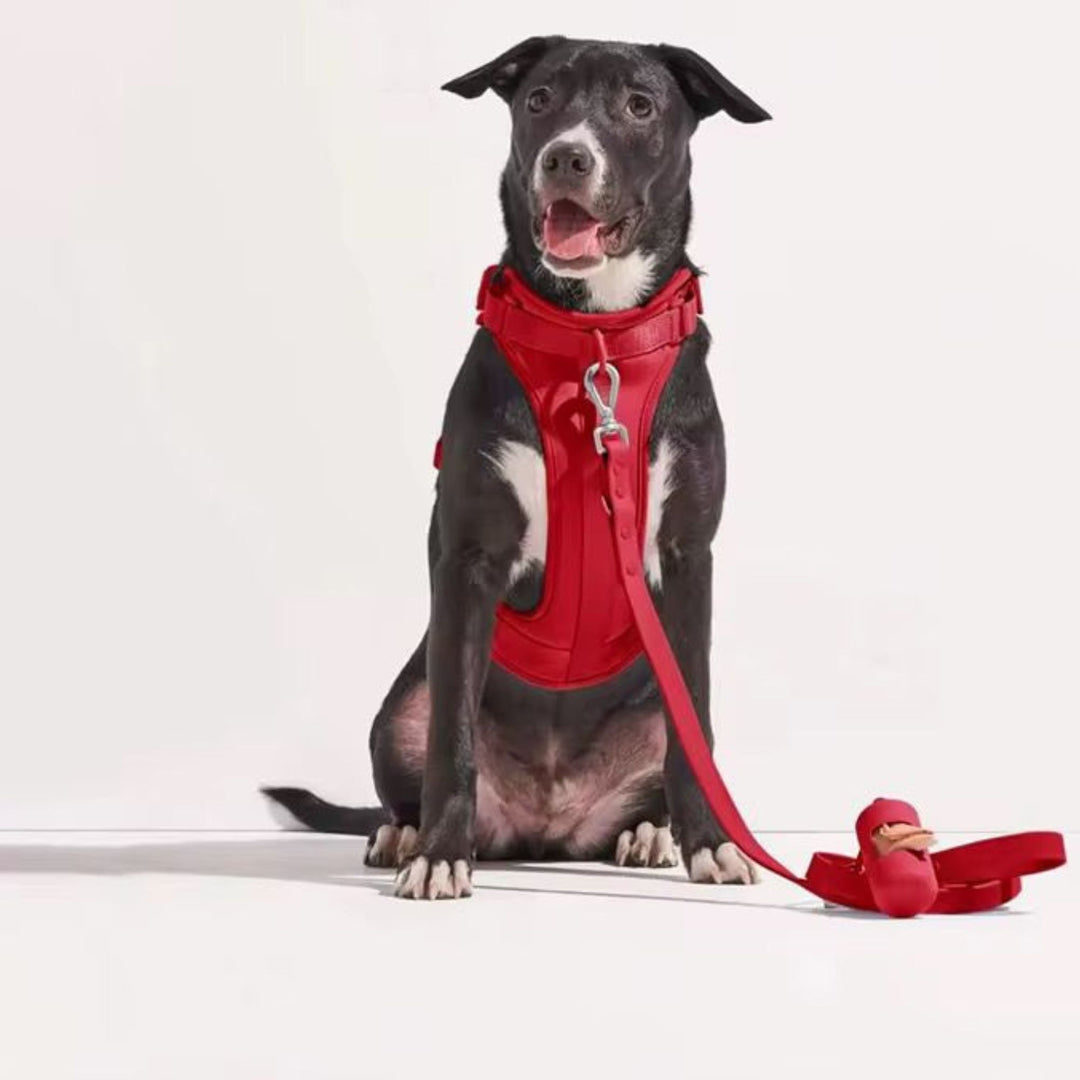 The Everyday Walk Kit