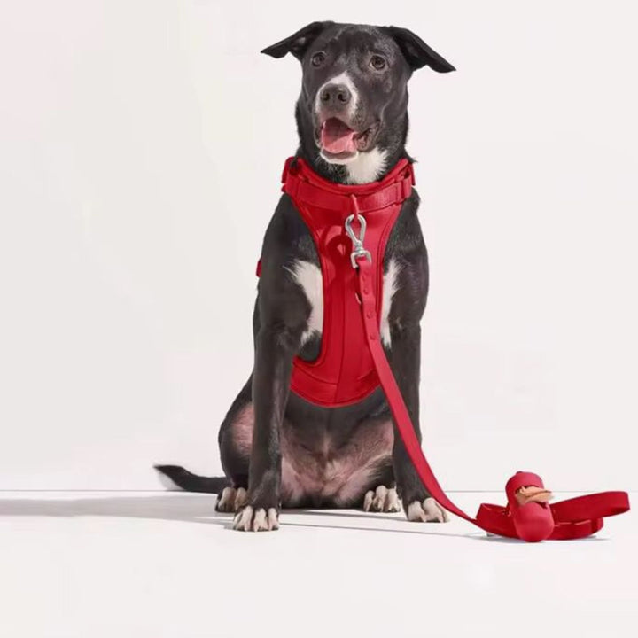 The Everyday Walk Kit